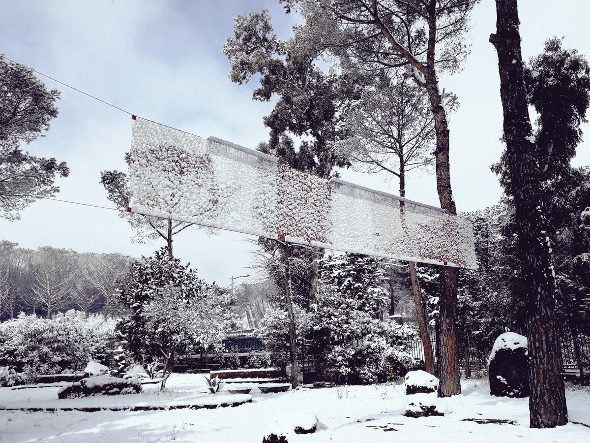 Museo Emblema tweet media