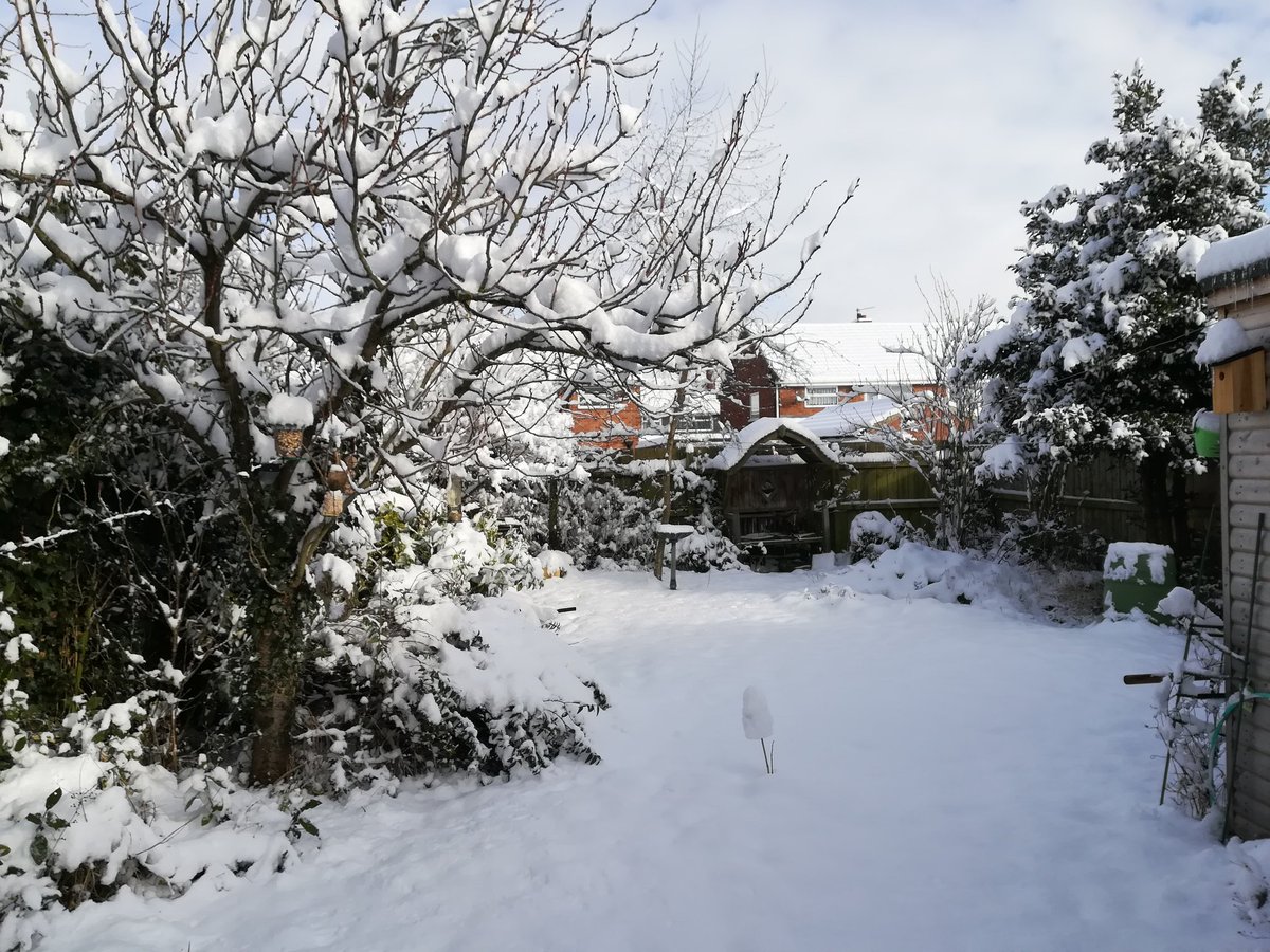 Misty4SRK's tweet photo. And still it snows!
My #SRKTree is still thriving
Real icicles on my art studio roof ❄️
Garden looks pretty☃️🌨️
Is there a car under there somewhere? 🤔
Dare I go out? 😳
Hope you are well 😘 https://t.co/IdqGYqX3KI