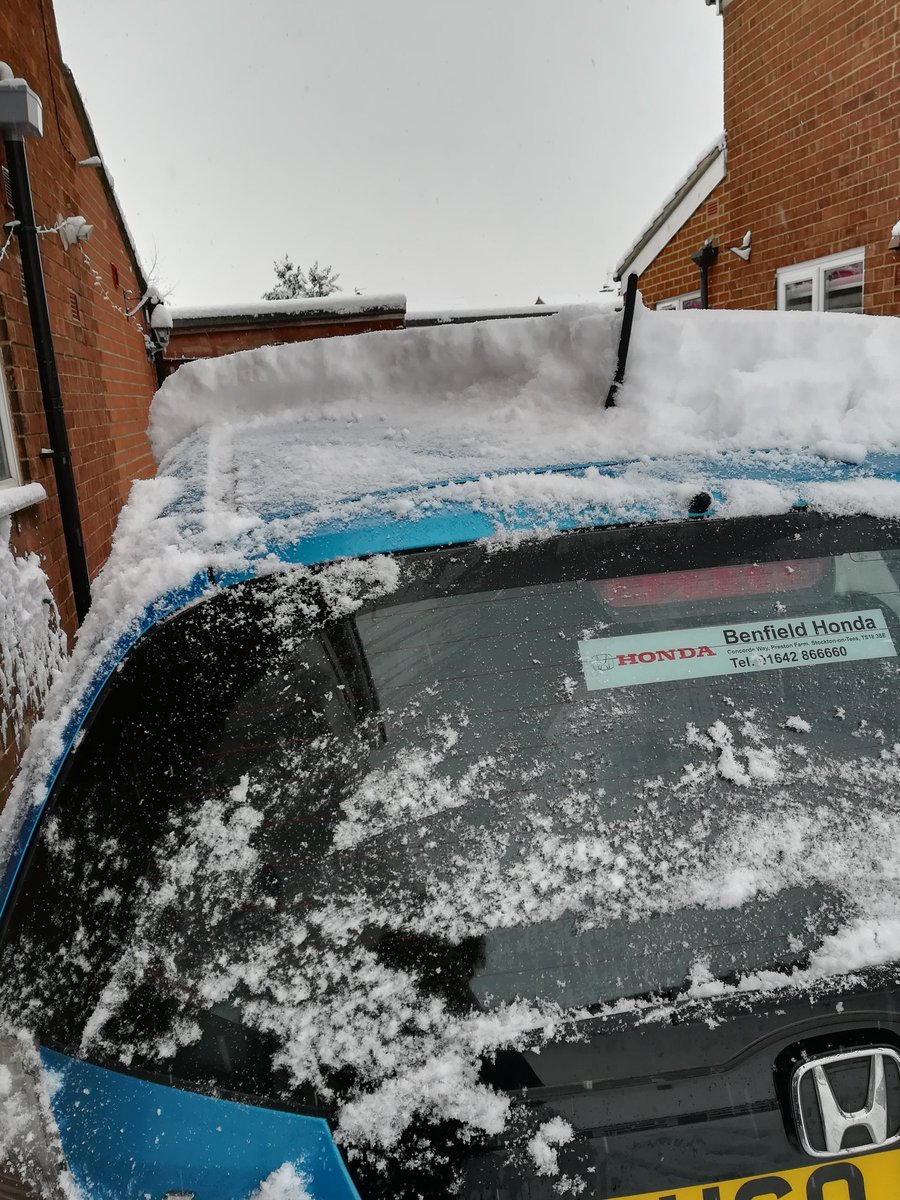 Misty4SRK's tweet photo. And still it snows!
My #SRKTree is still thriving
Real icicles on my art studio roof ❄️
Garden looks pretty☃️🌨️
Is there a car under there somewhere? 🤔
Dare I go out? 😳
Hope you are well 😘 https://t.co/IdqGYqX3KI