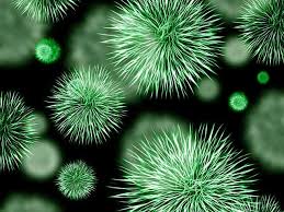 ClinicalPathol's tweet photo. #Virology is  the branch of science that deals with the study of #viruses. https://t.co/jTJjCkUZrz