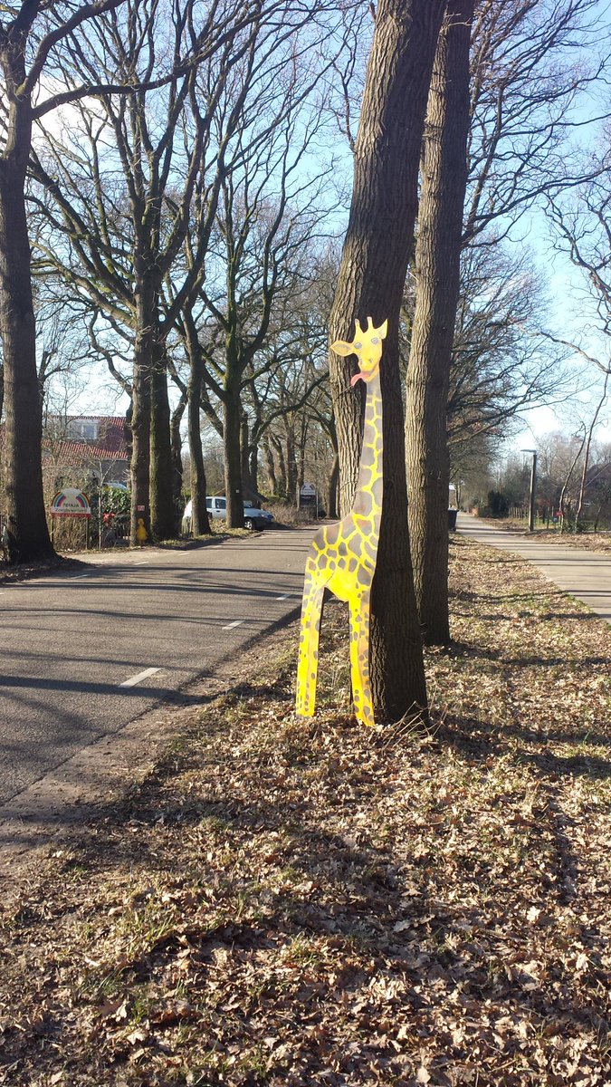 ZbRefaja's tweet photo. Onze diertjes aan de weg zodat de mensen wat beter op hun snelheid letten. https://t.co/J6UG7HyIQl
