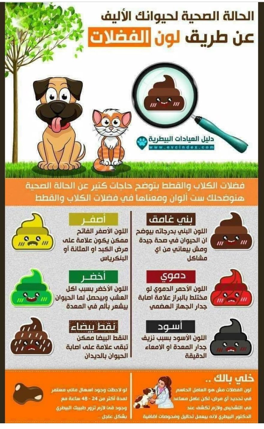 Mohammed Alfaraj Twitter ನಲ ಲ ماهو لون براز حيوانك الاليف احسان Ehsan