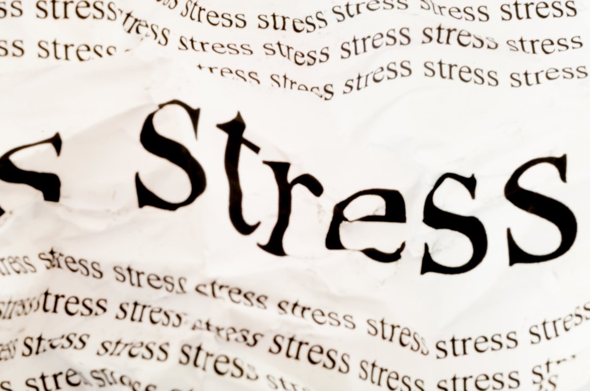 CardiacGroup's tweet photo. How to Reduce Stress and Anxiety to Prevent Palpitations? https://t.co/nMaU4kboZI https://t.co/eoZvCFeddS