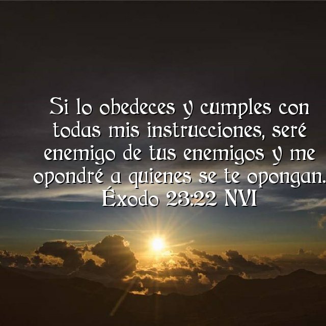 OyM_dtD's tweet photo. #QuéDiceElSeñor
Date cuenta, Israel, que Yo envío mi ángel delante de ti, para que te proteja en el camino y te lleve al lugar que te he preparado.
Préstale atención
y #obdc lo.
No te rebeles contra él, porque vaen representación mía y no perdonará tu rebelión.
#Ex_ 23:20-22 https://t.co/0GItLUbNG1