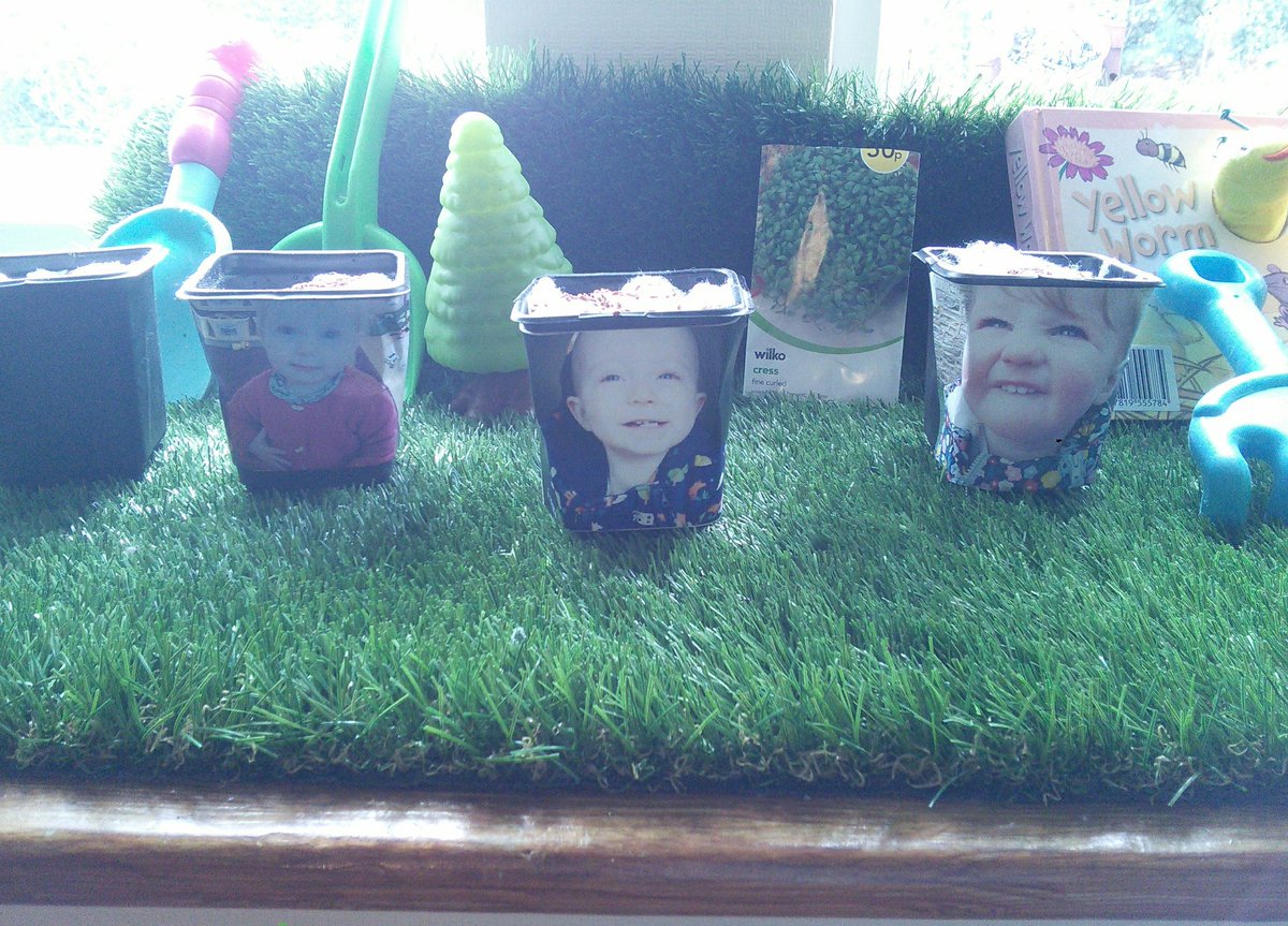 snapatworth's tweet photo. Babies create a growing area, stuffing cotton wool in plant pots and sprinkling cress seeds to grow hair for their funny faces.๐ฑ #growingarea https://t.co/GfNuym9WPf