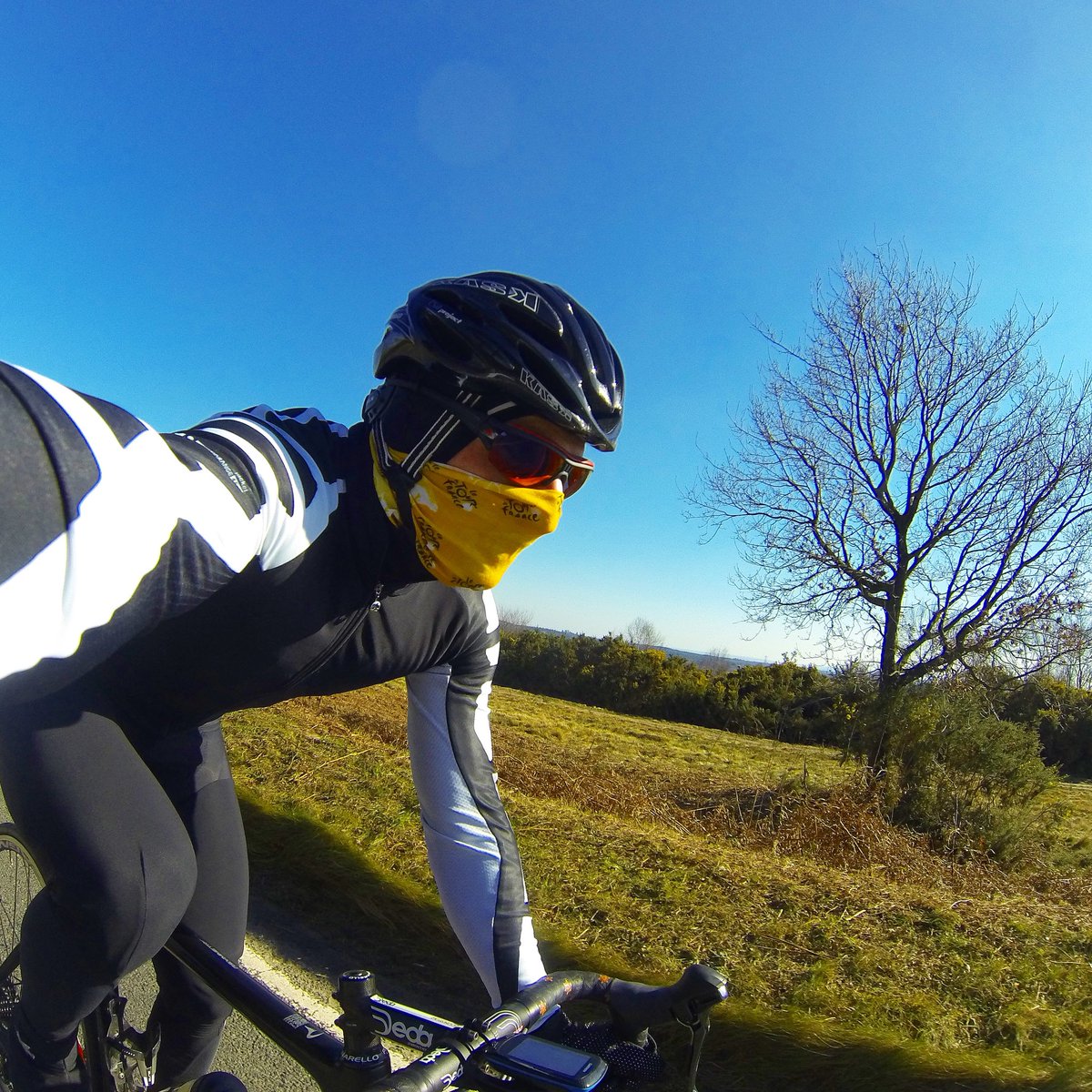 pkperformance_'s tweet photo. Fortune favours the brave #ridelots https://t.co/Go9qXRBdZT