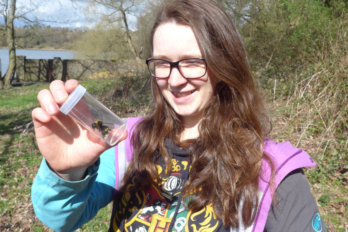 WWCTrustScot's tweet photo. Are you passionate about protecting bumblebees? In partnership with @BumblebeeTrust we are looking for volunteers to undertake the national BeeWalk survey on the #NCN. Find out more: https://t.co/UybtcSpopw https://t.co/r5BCFaXgxt