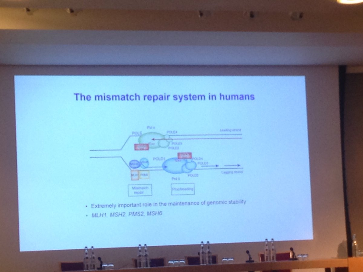 adrianabello's tweet photo. #Sohn2018 @Uri_Tabori mis match repair deficiency syndromes #CMMRD #hypermutation https://t.co/LAimRsprf2