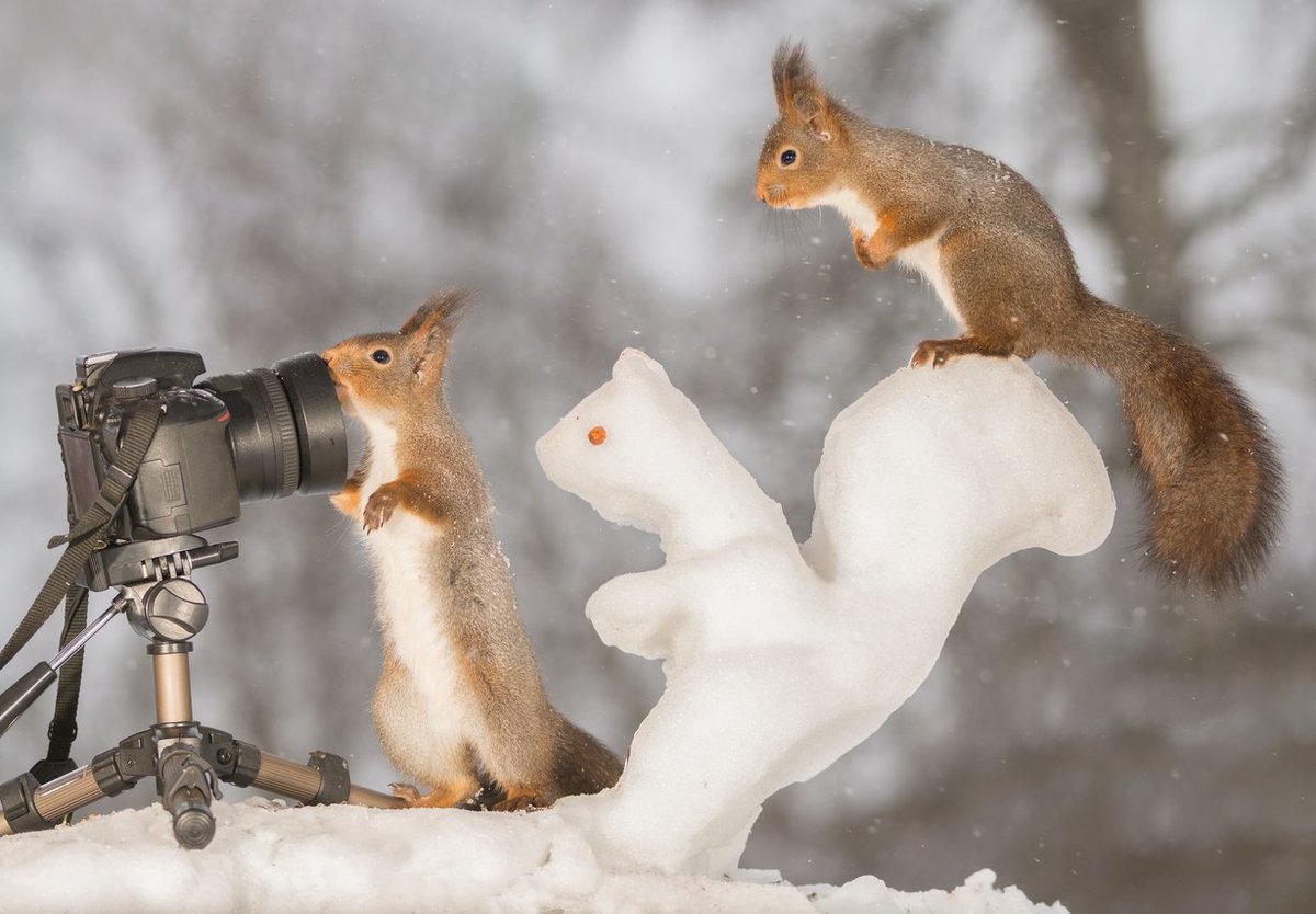 Canto's tweet photo. When he's taking the picture, am I allowed to post it in social media?
Meet us tomorrow and talk about this hot topic while others are freezing outside. https://t.co/mpAdL5vY9h #cantomeetup #berlin #meetupberlin #coldoutside https://t.co/rieB10hO9P