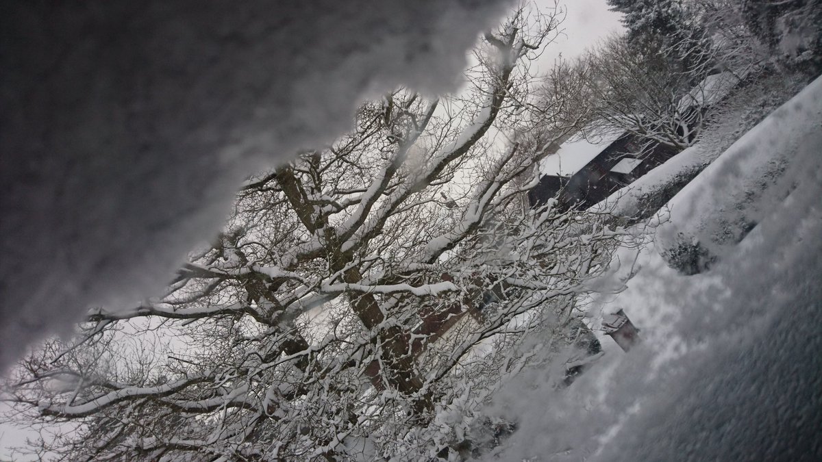 TEvansMusic's tweet photo. @BBCSussex Snow at 10 am just seen through velux #SnowSussex #snow #TheBeastFromTheEast https://t.co/UkYpO5qCrF
