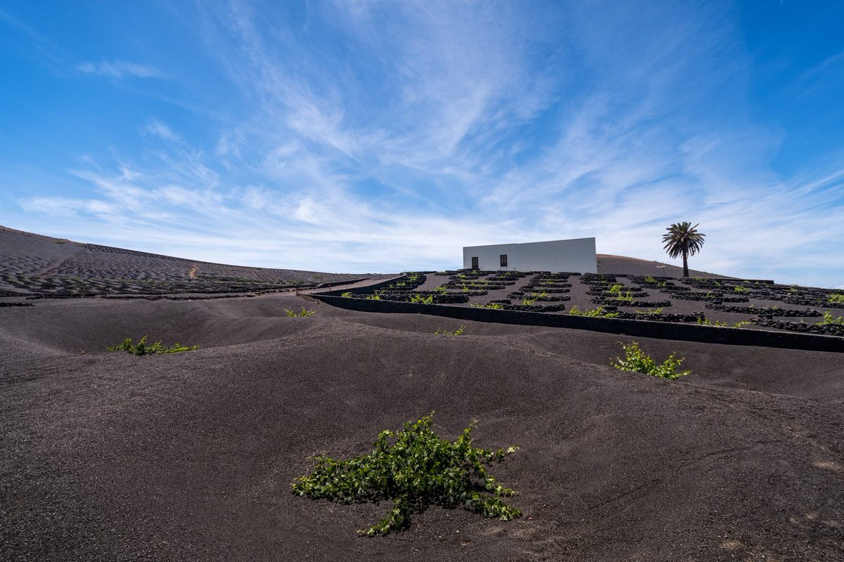 Words cannot describe how amazing this place is. ♥ La Geria | #Lanzarote