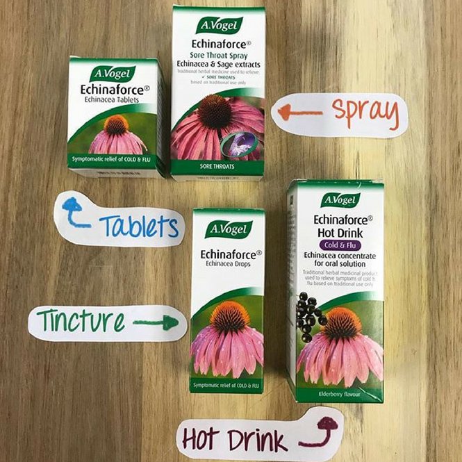 bodykind's tweet image. Definite #ColdWeatherEssentials! The @AVogelUK Echinaforce products help fight the symptoms of cold &amp;amp; flu by supporting the immune system, helping to maintain the body's resistance. Which one is your favourite? ow.ly/PXBE30iDCgU