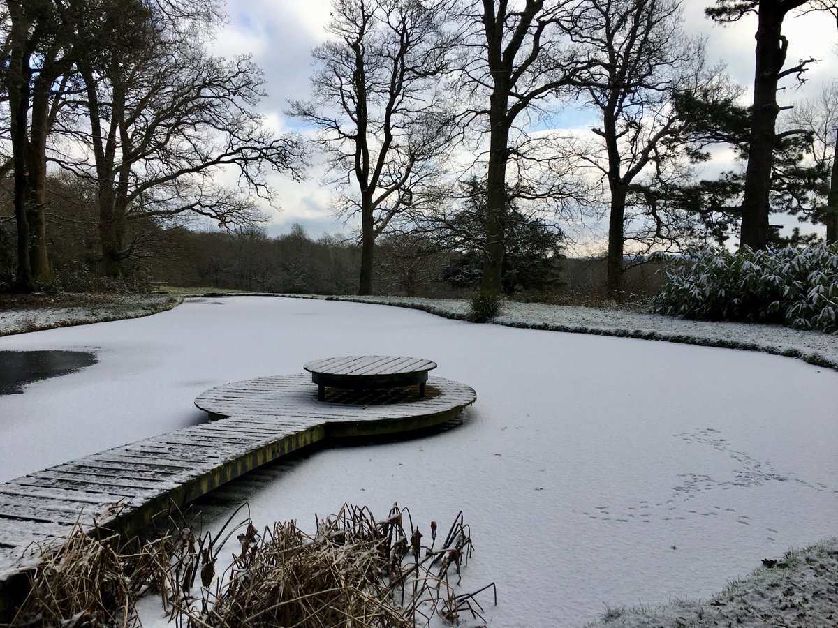 The Zen Pond this morning
#weddingvenue #WeddingVenues #westsussex #southdowns
