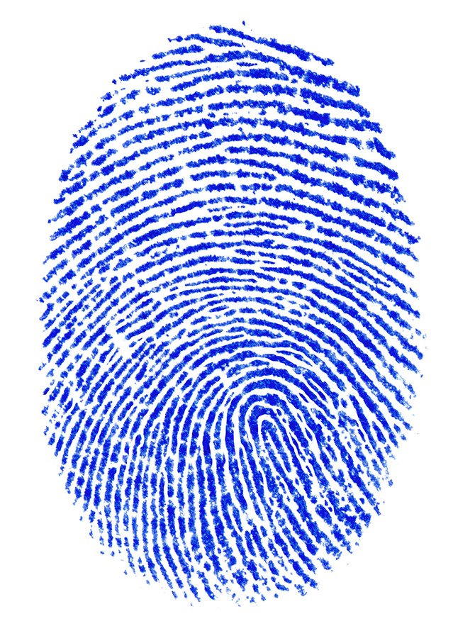 ForensicAccess's tweet photo. Latent #fingerprints #fingermarks comparison - come and see our quality #proficiencytests at Forensics Europe Expo, 6-7 March 2018, Olympia, London, UK Stand 1-F37 https://t.co/sCNRBxdthv https://t.co/oYzZxbWfLV