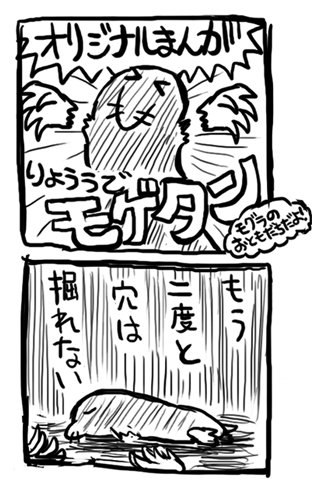 ひさしぶりにきたよ! 