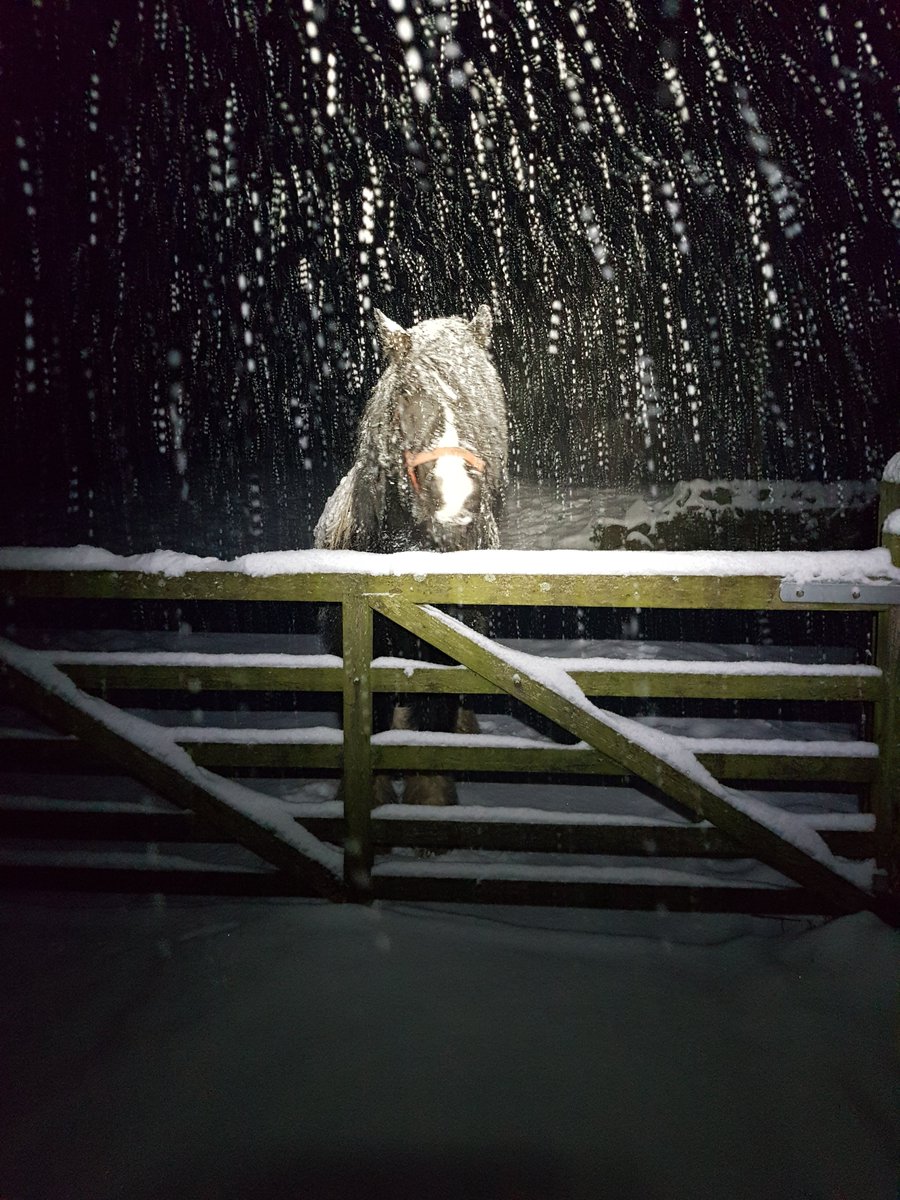 HumberPrint's tweet photo. Banjo waiting for his breakfast this morning before his mum went to work@humberprint 😀#labels #cartons https://t.co/rpmQXZ5XPw
