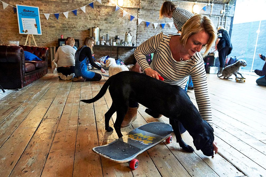 the101training's tweet photo. We invited @janeblackmore on a doggie day out with Bakers. Did she and Rosie (her labrador) have a good time? 🐶 #InsideBakers 

https://t.co/SxuswZVpZa

#ad #dogsoftwitter #dogfood #pbloggers #petfood https://t.co/FMVHG8txa3