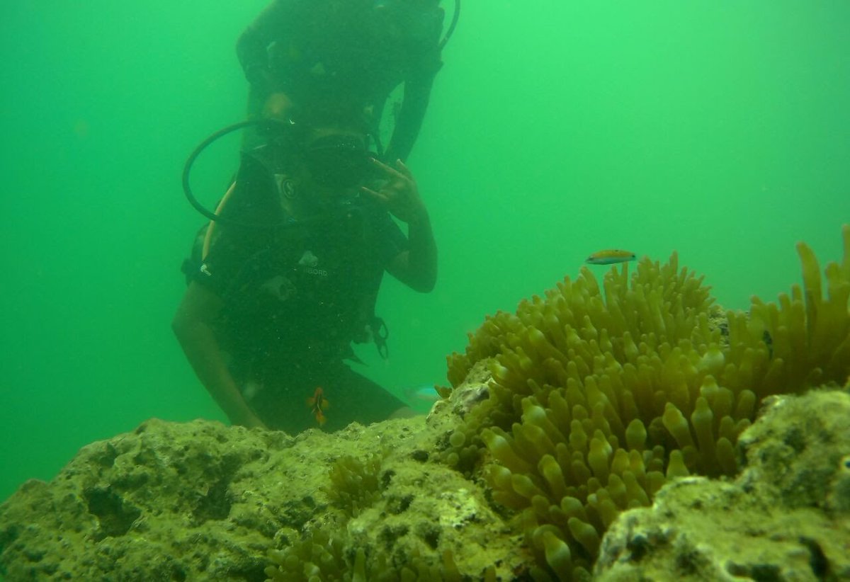 my_soultravels's tweet photo. Our guide to 5 uniquely #offbeat adventures in #AndamanIslands You haven't really seen #Andamans till you have done these https://t.co/xJSY9AaADP 
#mysoultravels #travelwithkids #familytravel #traveltolearn #ScubaDiving #travel https://t.co/86JkkCrLUk
