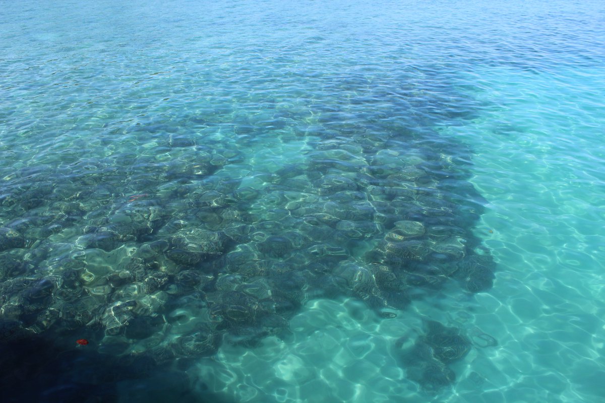 my_soultravels's tweet photo. Our guide to 5 uniquely #offbeat adventures in #AndamanIslands You haven't really seen #Andamans till you have done these https://t.co/xJSY9AaADP 
#mysoultravels #travelwithkids #familytravel #traveltolearn #ScubaDiving #travel https://t.co/86JkkCrLUk