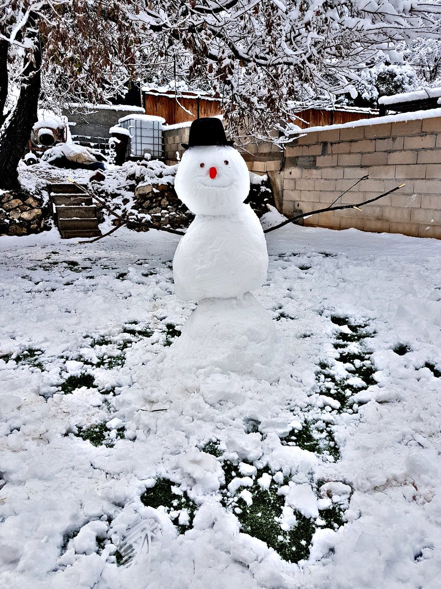 83vanessa210's tweet photo. Quand OLAF s'invite chez vous, ça donne ça 😁 #snow #winter 02/18 https://t.co/UndL6Hc9fQ