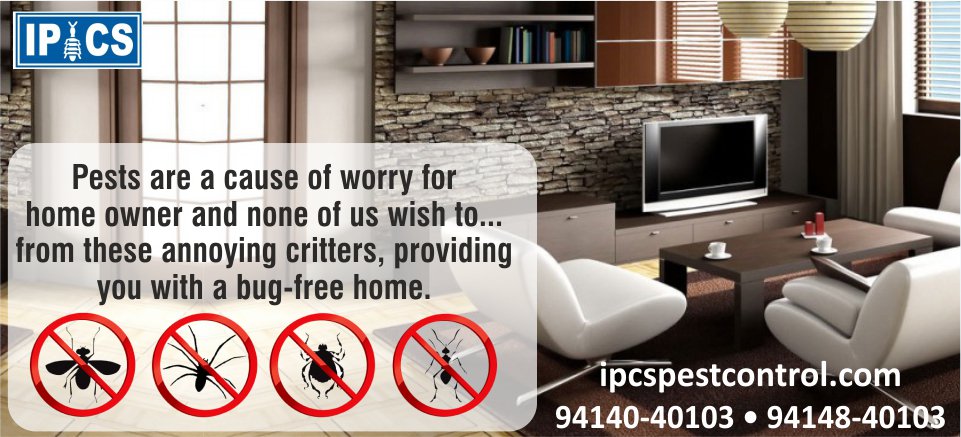IPCSPestControl's tweet image. Visit ipcspestcontrol.com to find our best services for #PestControl#AntiTermiteTreatment #MosquitoControls