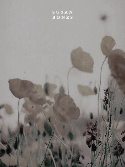 MundoMagico_Boo's tweet image. ✫  .   ˚  ✷ ∫ Ｂｕｓｃａｍｏｓ ａ :

— Susan Bones. 

˚ . ✶ Hufflepuff.

˚ . ✶ Sangre Mestiza.

¿ Rt ? #Bumbadaboo