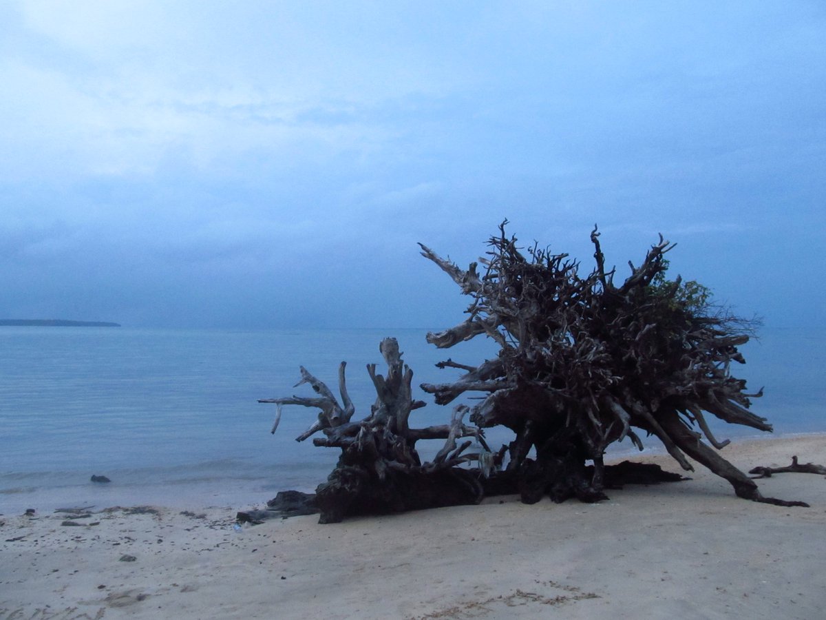 my_soultravels's tweet photo. Our guide to 5 uniquely #offbeat adventures in #AndamanIslands You haven't really seen #Andamans till you have done these https://t.co/xJSY9AaADP 
#mysoultravels #travelwithkids #familytravel #traveltolearn #ScubaDiving #travel https://t.co/86JkkCrLUk