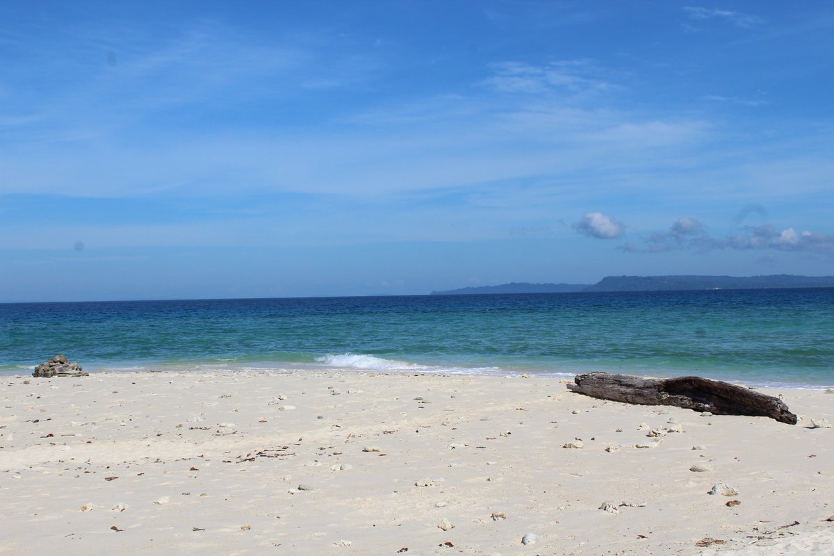 my_soultravels's tweet photo. Our guide to 5 uniquely #offbeat adventures in #AndamanIslands You haven't really seen #Andamans till you have done these https://t.co/xJSY9AaADP 
#mysoultravels #travelwithkids #familytravel #traveltolearn #ScubaDiving #travel https://t.co/86JkkCrLUk