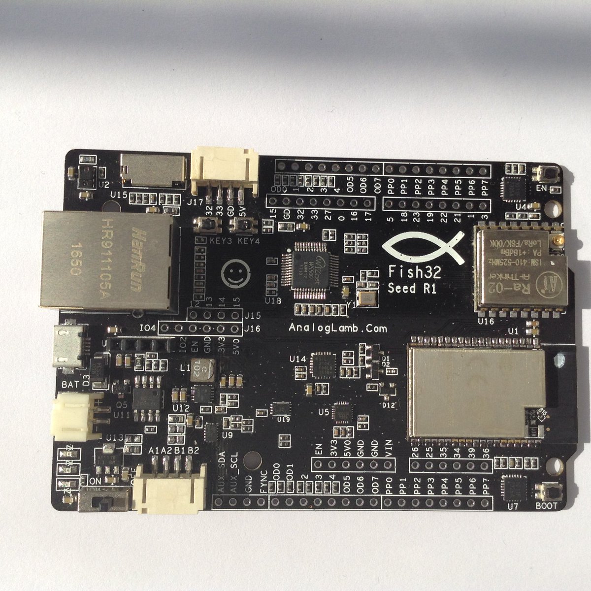 AnalogLamb's tweet photo. #AnalogLamb #Fish32 Seed Board - An #ESP32 Education Board! How about crowdfunding on https://t.co/QjY3hR67N5 #crowd_supply https://t.co/tA1dOOOWd2