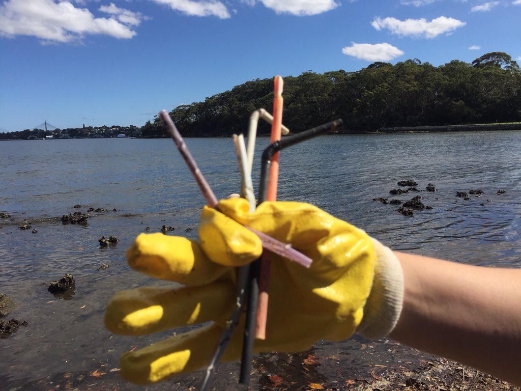 Cundall_Global's tweet photo. Had a great afternoon at #cleanupaustraliaday in North Sydney. Thanks to @NthSydCouncil for organising a fun and rewarding afternoon. #WorkersvsWaste https://t.co/4OzioTB9wL