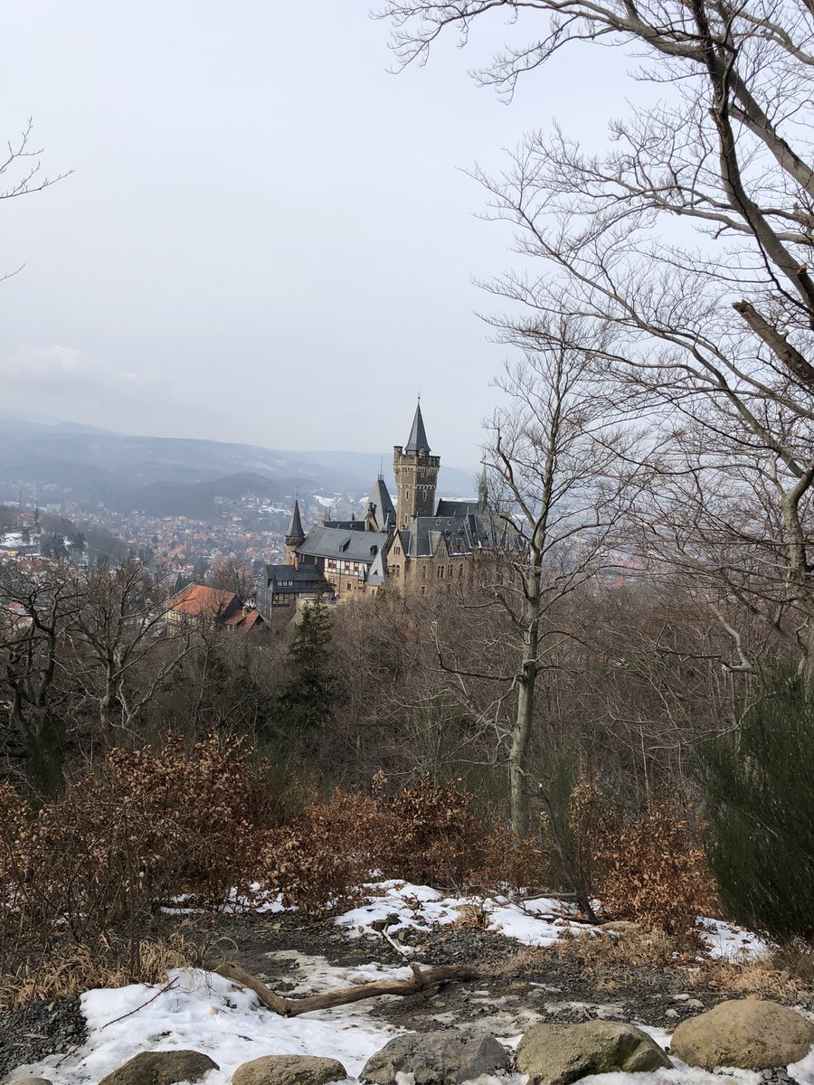 BQuenzel's tweet photo. #harz #harzmountains #hwn #harzerwandernadel #sachsenanhalt #preussen #fatbike #snowbike #hiking #wandern #wanderlust #wanderersweise #agnesberg #parforce #deutschland #germany #europe #wereld #monde #universe #smallpaledot #wald #woud #foret #forest #christianenthal #wernigerode https://t.co/zF5zacEDmb