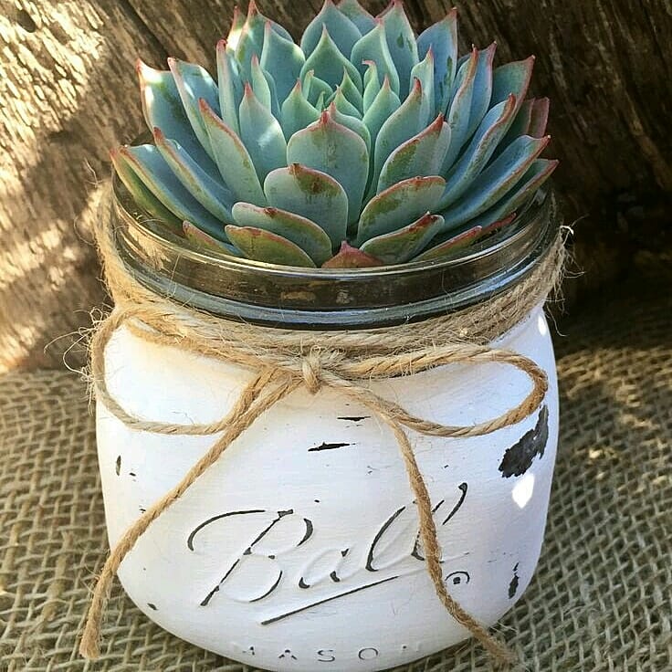 idearteok's tweet photo. Empeza TU DIA Con esta Idea Super #Creativa 💖💋
.
Recorda Que NUNCA ES TARDE Para Hacer Las Cosas Bien 😀
.
#LosQuieroMucho 😘
.
Nos Vemos Prontito 👋
.
#Manualidades #Plantero #decoracion #comodecorar #ideasparadecorar #plantas #Naturaleza #chico #ideas #ideascreativas #ideias https://t.co/AisfbgdDEB