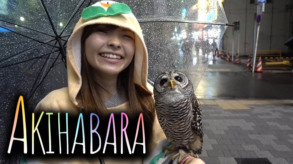 Snubs's tweet photo. How do you rent a car in #Japan? Plus - my favorite bar near #Akihabara! My Japan Vlog Day 1 - Snubs Report https://t.co/yiUdrxShu1 https://t.co/zZQT4tURzP