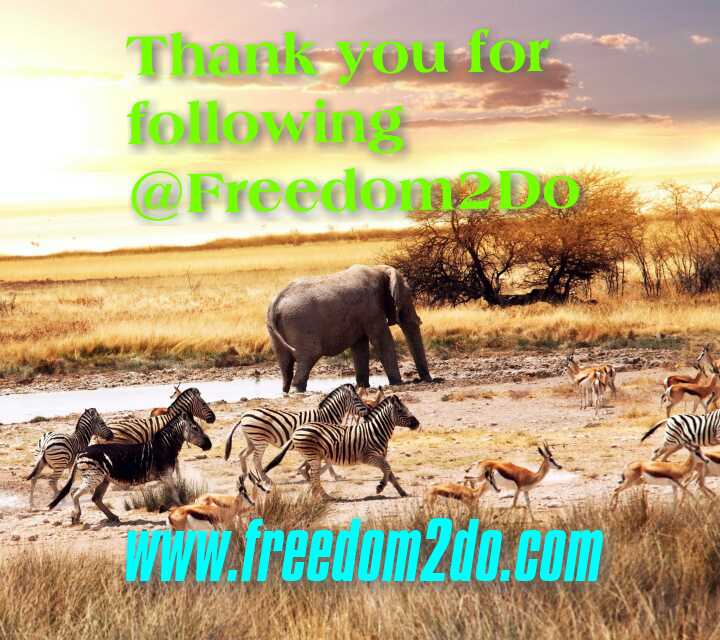 Freedom2Do's tweet photo. @WildlifeRescue
https://t.co/PAfOh8iRHS #Freedom2Do #LearnHelpGrow https://t.co/wYl4urvhno