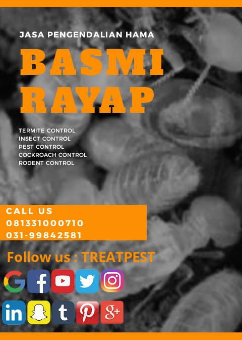 treatpest's tweet photo. Jasa Pengendalian hama Surabaya
Treat pest control 
031-99842581 / 081331000710

#pest #pestcontrol #pestcontroll #treatpest #basmihama #foging #hama #nyamuk #kecoa #tikus #semut #kutu #tomcat #lalat #semut #bedbug #pestdisurabaya #pestjawatimur #pemgendalianhama #surabaya https://t.co/9NdTbI4mwu