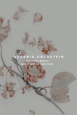 MundoMagico_Boo's tweet image. ✫  .   ˚  ✷ ∫ Ｂｕｓｃａｍｏｓ ａ :

— Queenie Goldstein. 

˚ . ✶ Pukwudgie. Ilvermorny.

˚ . ✶ Sangre Mestiza. 

¿ Rt ? #Bumbadaboo