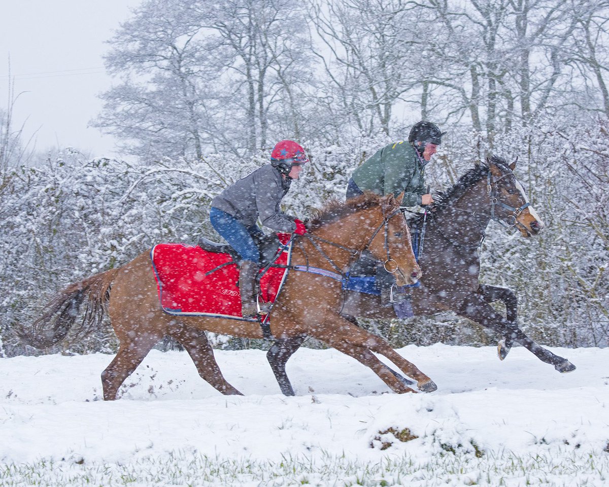 RuthCarr1's tweet photo. Well done to the team on the yard this morning - getting everything out in the snow! https://t.co/YodO9Ep8xg