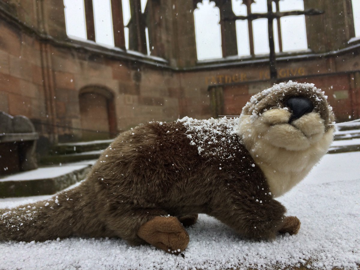 joannetheot's tweet image. Taking a break from admissions to enjoy the snow with #CUOTter @CovUniOT #occupationaltherapy #snowday @covcampus #CoventryUniversity
