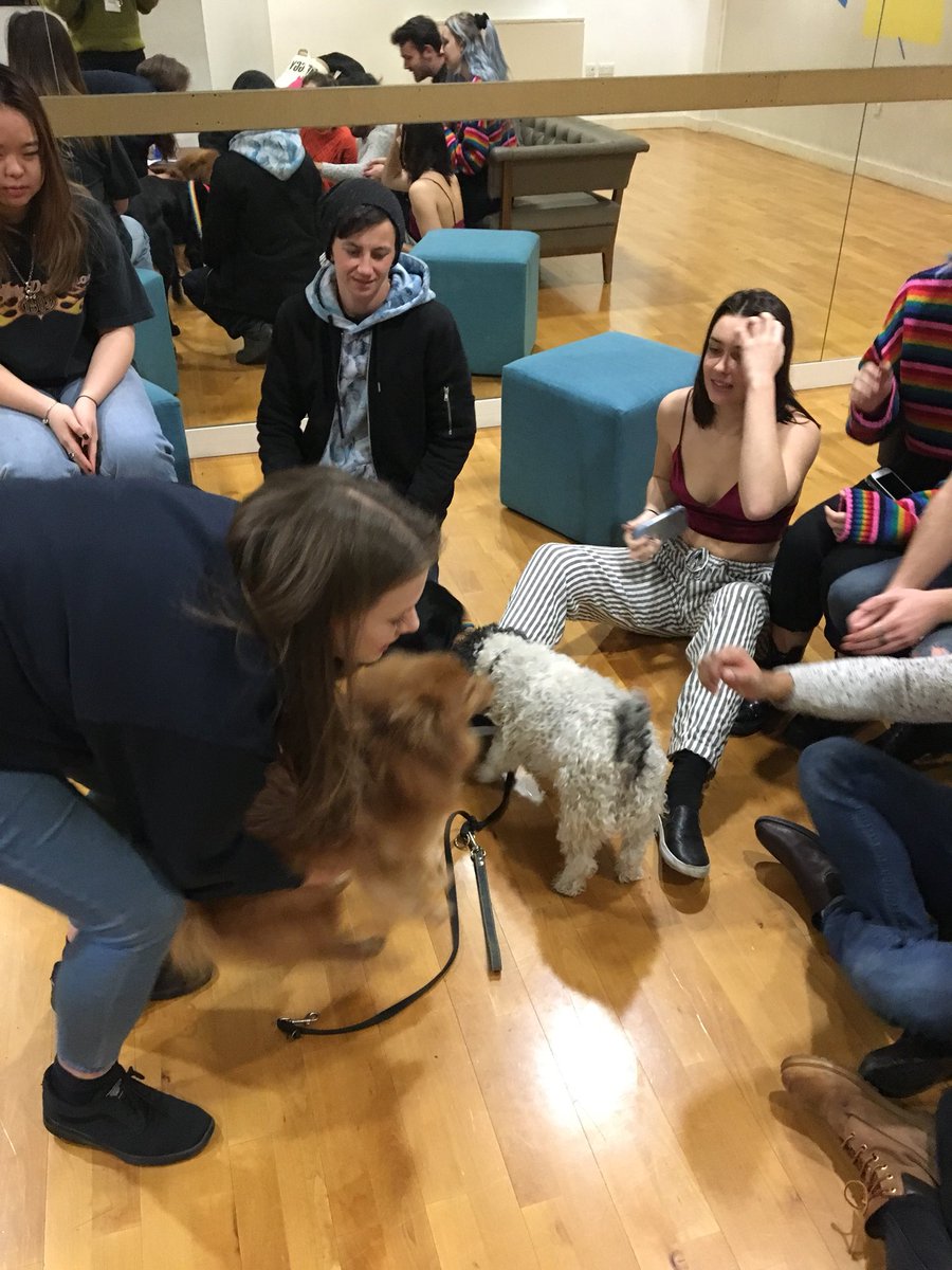 UAL_well's tweet photo. It’s happening guys! Hugging puppies is the key to wellbeing. Come down to the blueprint bar @ High Holborn #universitymentalhealthday https://t.co/yrQU3UEzw3