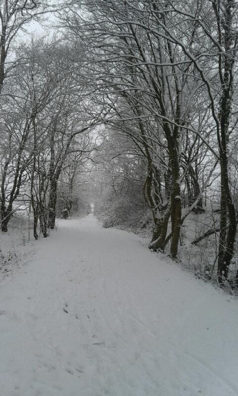 AngelaClark135's tweet photo. @BBCNews Tenterden kent https://t.co/yUVYaB5lnV