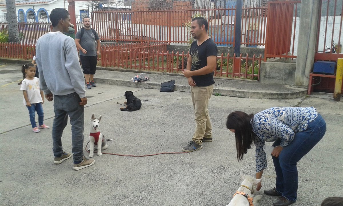 EscuelaDDK9's tweet photo. #Entérate || Todos los sábados estamos realizando clases grupales, con la finalidad de que los canes continúen su entrenamiento diario y socialicen, buscando un mejor adiestramiento.
Si deseas contactarnos puedes hacerlo por el Telf. 0414-227.54.10 https://t.co/5H1Fr522P3