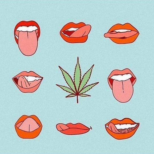 Hemp_Lords's tweet photo. https://t.co/VCOTap0GkD https://t.co/HJK1zLys0O