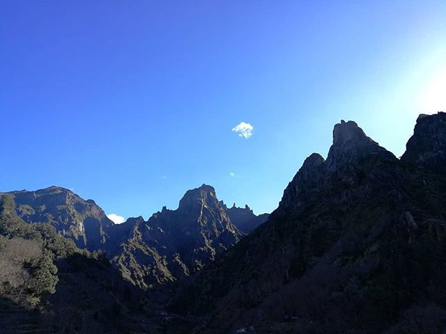runneranonimopt's tweet photo. 'Peak' one and go! 😁🤣😃#runnersofinstagram #Running #trail #trailrunning #trailrunners #trailrunningportugal #trailers #nature #instarun #iloverunning #ultratrail #madeiraisland #VisitMadeira #visitportugal #runneranonimo #runnerblog #RoadToMIUT https://t.co/UPQUhs6IT4 https://t.co/tTVeEOiuQz