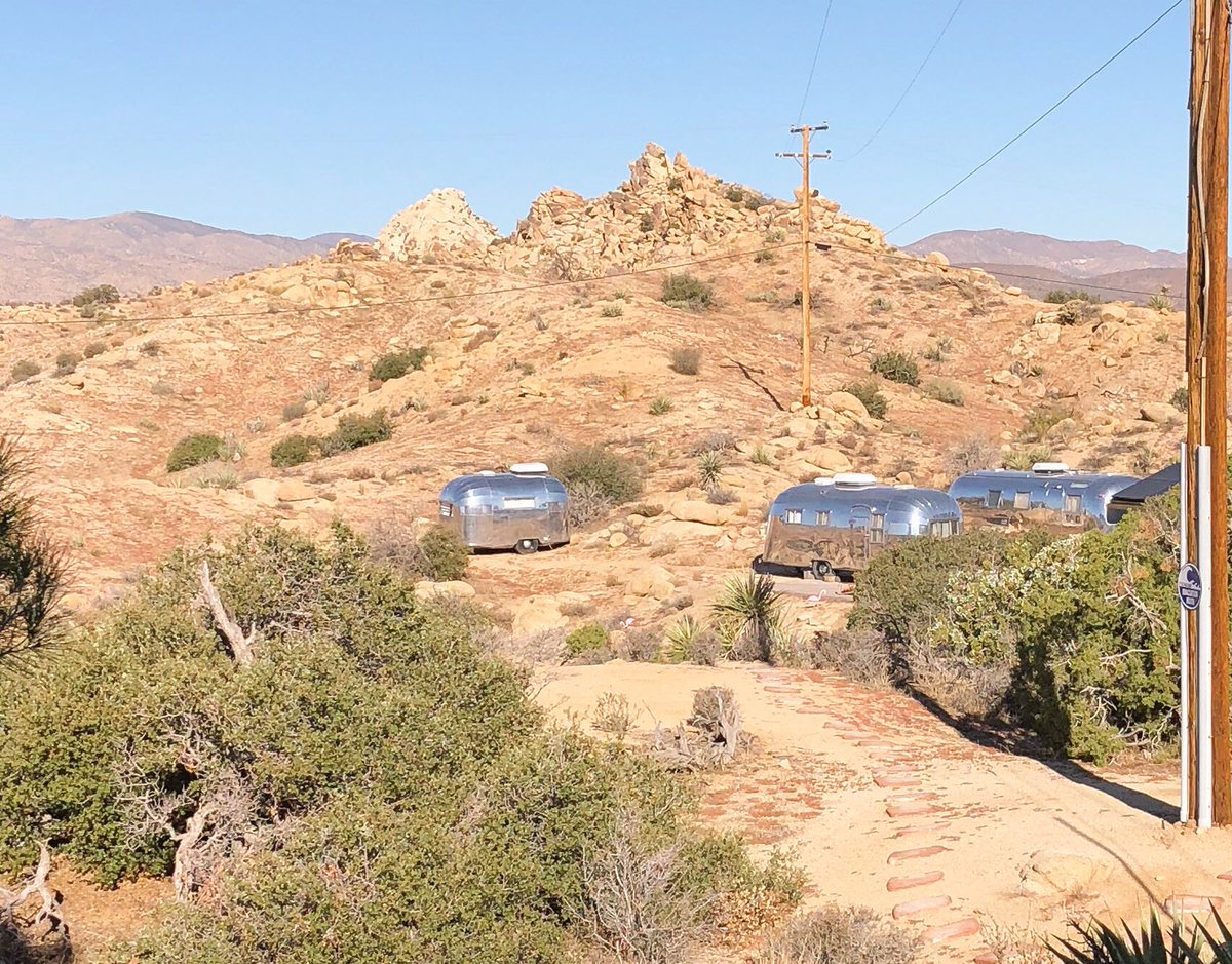 ‘We are saved only by love - love for each other &amp; the love that we pour into the art we feel compelled to share: being a parent; being a writer; being a painter; being a friend. What we must save from it, all the time, is love’  Tennessee Williams