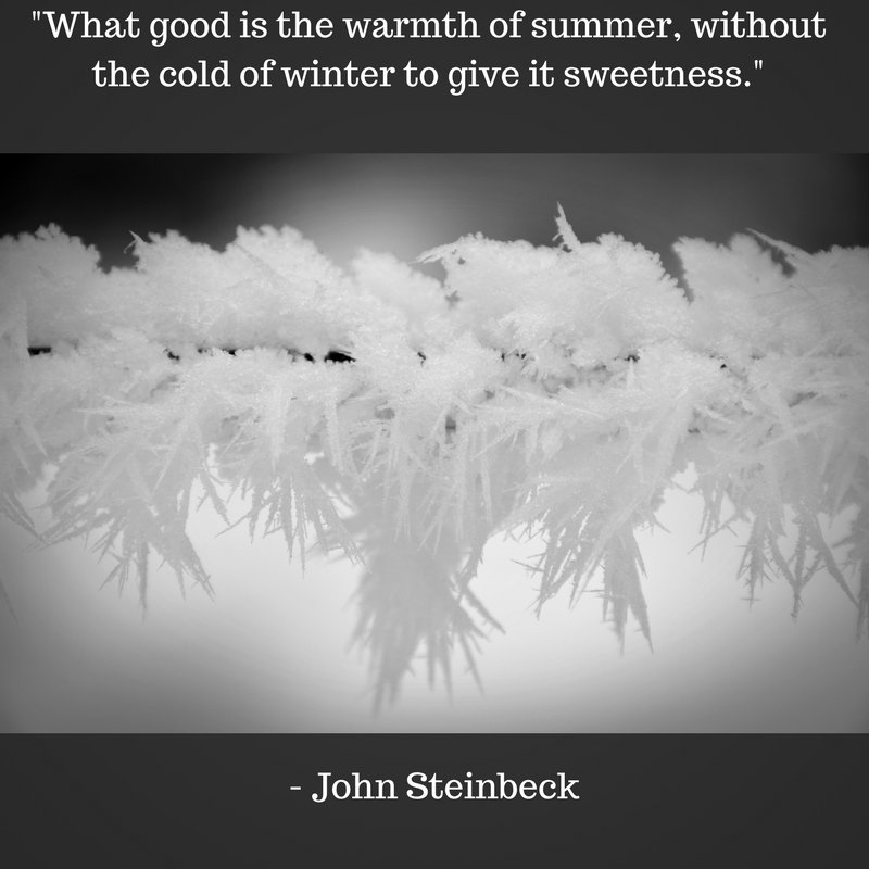 It's too cold for us to agree with John Steinbeck here, but we'll let it slide, because it's his birthday!

Steinbeck is one of the Titans of Literature, writing such classics as 'Of Mice and Men', 'The Red Pony', 'The Grapes of Wrath' and 'East of Eden'!