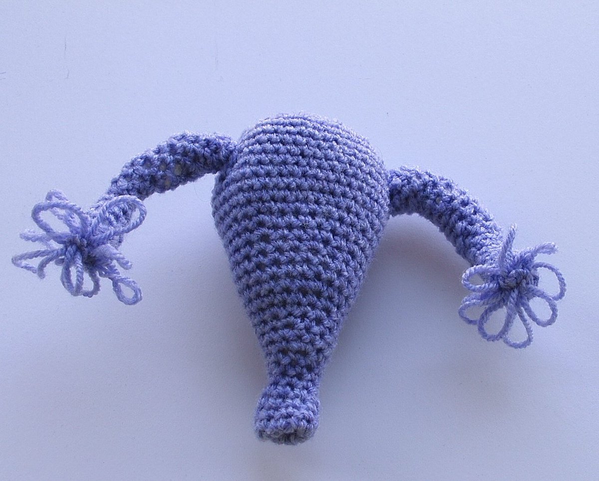 thewombproject2's tweet photo. Join #TheWombProject &amp; share your story of a #gynaehealth issue.  #KnitOne #SewOne #PaintOne #GynaeHealthMatters #Awareness https://t.co/qwYlzoahKX https://t.co/wWawZAHNHL