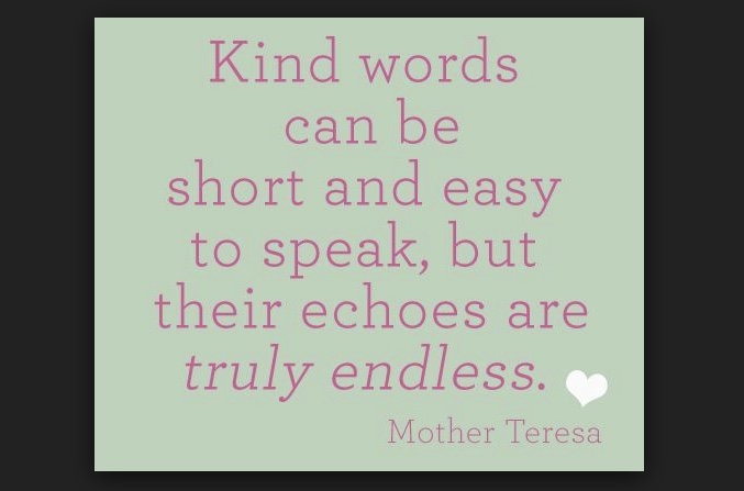 E McCann (she/her) tweet media