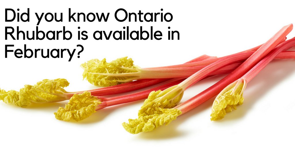 FoodlandOnt's tweet photo. "Forced" rhubarb is grown inside barns or greenhouses throughout the winter months in Ontario. The roots are harvested from outdoors in the fall and grown in buildings at 10°C. This allow the plants to bud and grow in the middle of Ontario's winter. #loveONTfood #eatlocal https://t.co/ksVHiJg6wG
