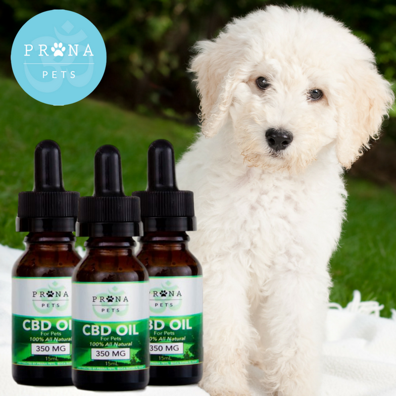 PranapetsFans's tweet photo. TODAY ONLY! Save 20% on 3-pack bundles with promo code CBDFOR24 at checkout! Shop now: https://t.co/K18OOABfN9 #CBDOil #CBD https://t.co/jLrMho9YSM