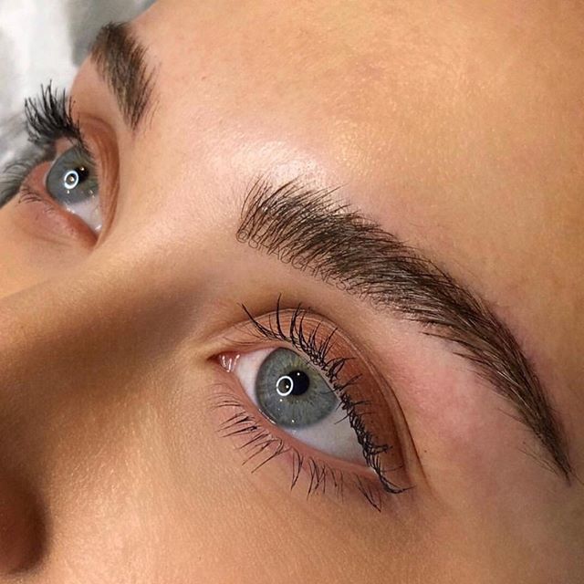Serious #browgoals 🙌💓 Seeing <a href="/shaughnessy/">Tom Shaughnessy</a> for annual refreshers gave Sashiko Babe <a href="/ginashkeda/">Gins</a> these dreamy, hyper realistic brows 😍 #studiosashiko